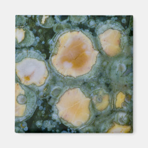 Gepunktet Ocean Jasper Magnet