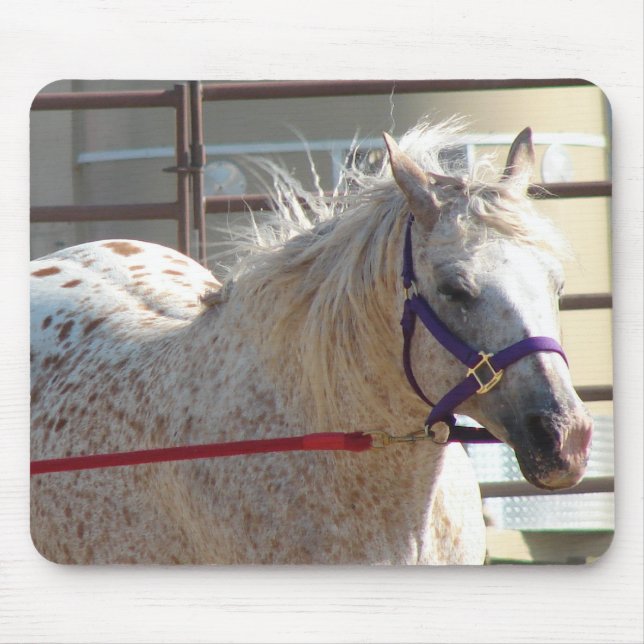 Gepunktet Pony Mousepad (Vorne)