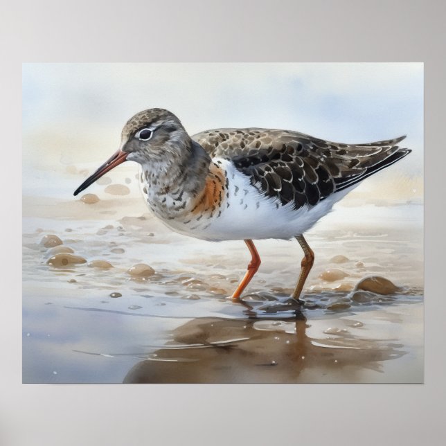 Gepunktet Sandpiper Bird Art Print Poster (Vorne)