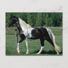 Gepunktet Walker Postkarte