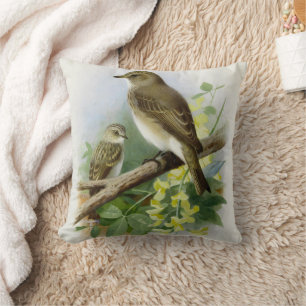 Gepunktete Fliegenfänger, KunstIllustration Kissen