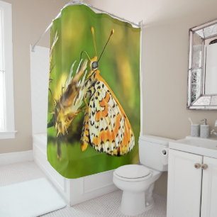 Gepunktete Fritillary Orange und White Butterfly Duschvorhang