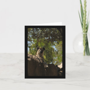 Gepunktete Hyena Nature Lovers Valencia Vertical S Karte