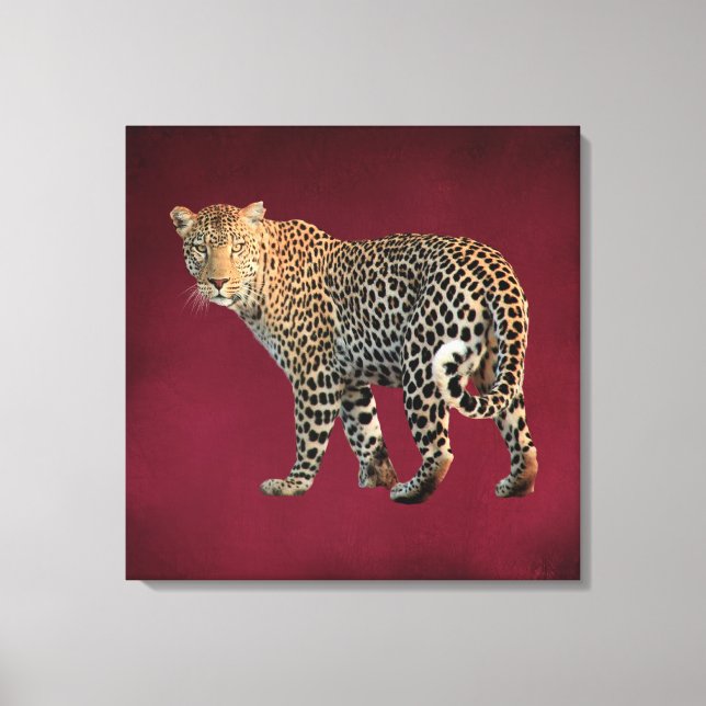 Gepunktete Leopard Wild Cat Fotografie Leinwanddruck (Vorderseite)