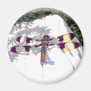 Gepunktete Libelle Magnet