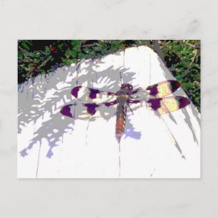 Gepunktete Libelle Postkarte
