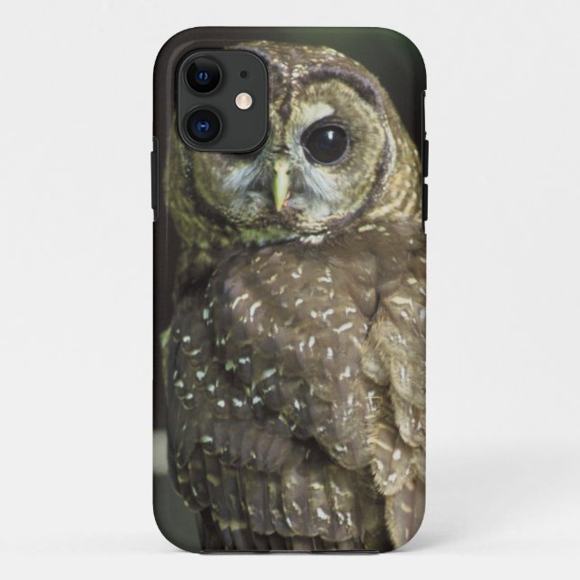 Gepunktete Nordeule Case-Mate iPhone Hülle (Rückseite)