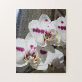 Gepunktete Orchid-Fotografie in Weiß und Rosa