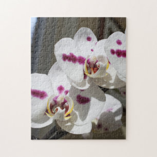 Gepunktete Orchid-Fotografie in Weiß und Rosa