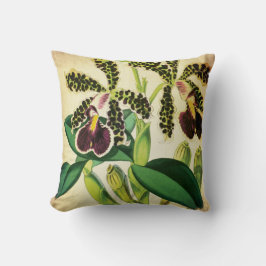 Gepunktete Phalaenopsis-Orchideen-Vintages Kissen