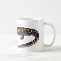 Gepunktete Salamander-Tasse