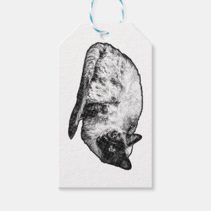 Gepunktete Schnurrhaar-Geschenknote Geschenkanhänger
