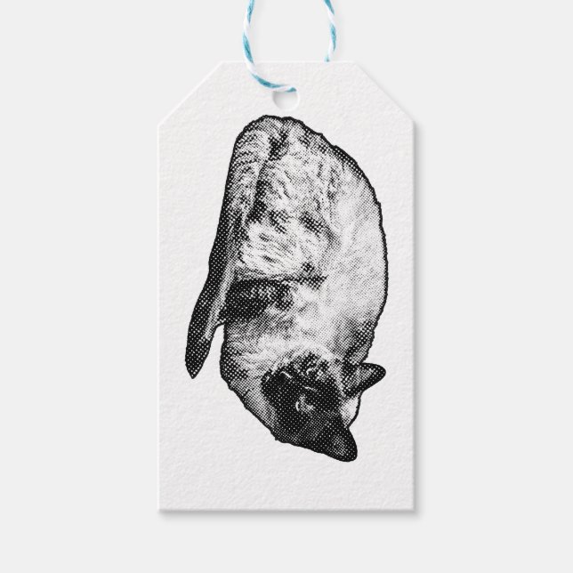 Gepunktete Schnurrhaar-Geschenknote Geschenkanhänger (Vorderseite)