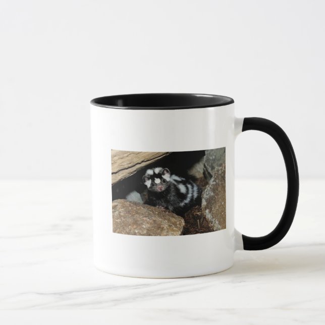 gepunktete Stinktier TASSE (Rechts)