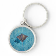 Gepunkteter Adler Stingray - Ozean
