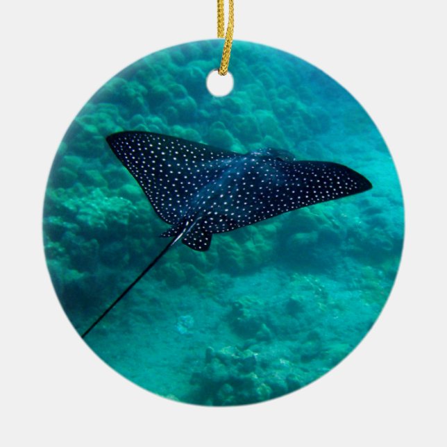 Gepunkteter Adler-Strahl Hanauma Bucht-Hawaiis Keramikornament (Vorne)