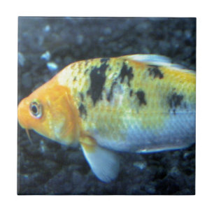 Gepunkteter Goldfish Fliese