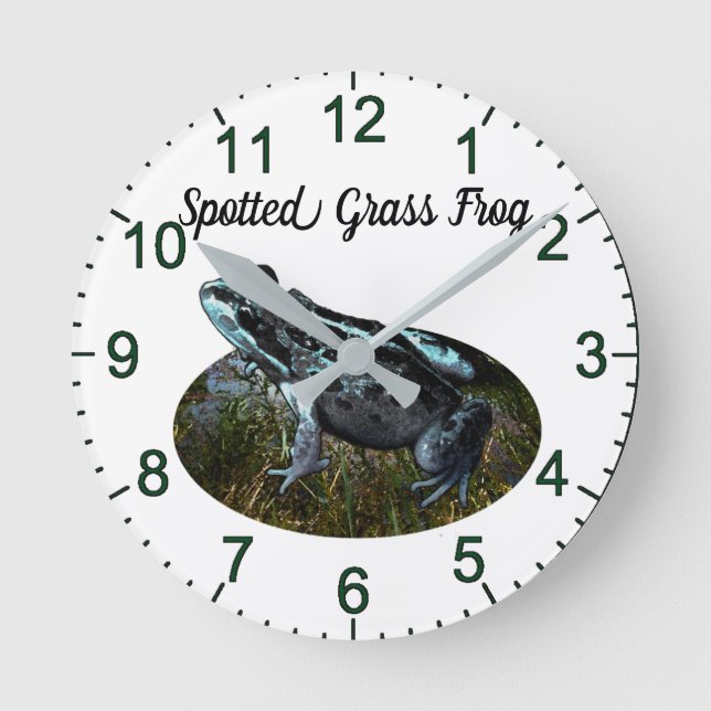 Gepunkteter Grasfrosch, Wall-Uhr Runde Wanduhr (Vorderseite)