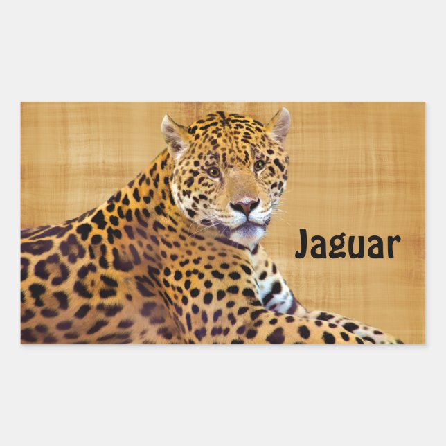 Gepunkteter Jaguar Big Cat-Liebhaber #Gift Rechteckiger Aufkleber (Vorderseite)