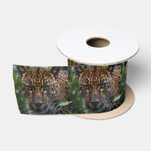 Gepunkteter Jaguar steht Nah im Wald gegenüber, Satinband