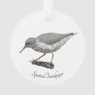 Gepunkteter Sandpieter Ornament