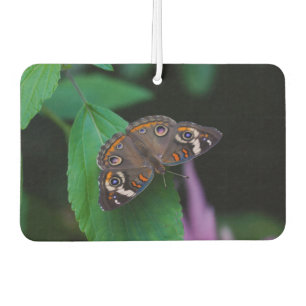 Gepunkteter Schmetterling Autolufterfrischer