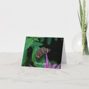 Gepunkteter Schmetterling Dankeschön Karte