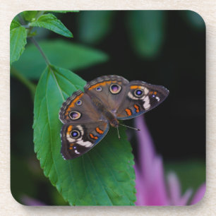 Gepunkteter Schmetterling Untersetzer