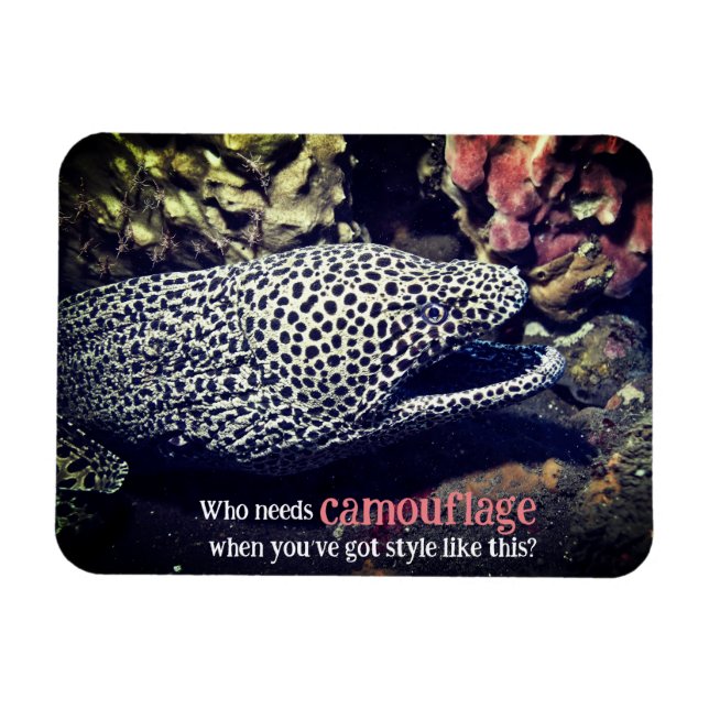 Gepunkteter Seeaal unter Wasser Magnet (Horizontal)