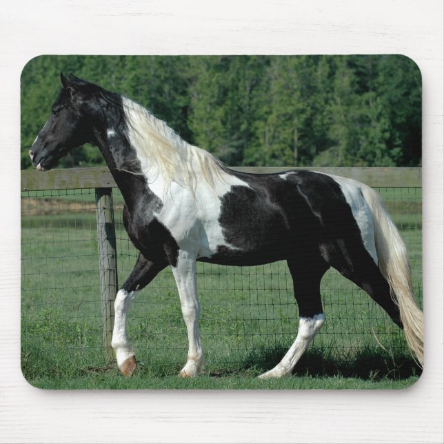 Gepunkteter Wanderer Mousepad (Vorne)