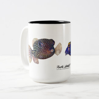 Gepunktetes Boxfischpaar, Ostracion meleagris Zweifarbige Tasse