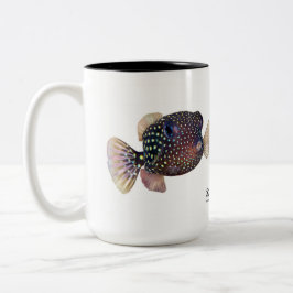 Gepunktetes Boxfischpaar, Ostracion meleagris Zweifarbige Tasse