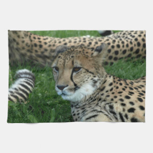 Gepunktetes Cheetah-Küchen-Tuch Küchentuch