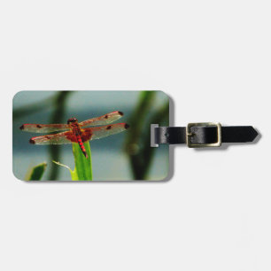 Gepunktetes Rotes und Schwarzes Dragonfly Gepäckanhänger
