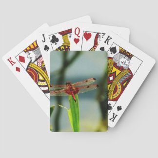 Gepunktetes Rotes und Schwarzes Dragonfly Spielkarten
