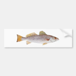 Gepunktetes Seatrout Autoaufkleber
