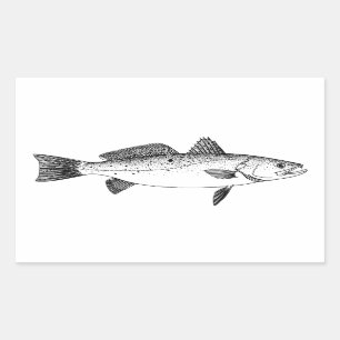 Gepunktetes Seatrout - gesprenkelte Rechteckiger Aufkleber