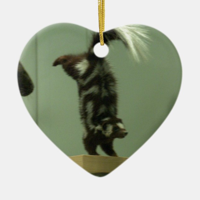 Gepunktetes Stinktier; Museumsausstellung Keramikornament (Vorne)