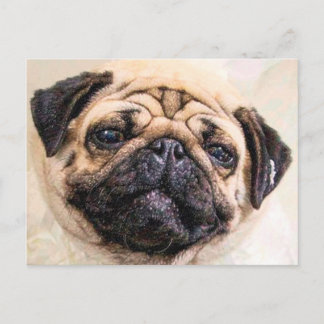 gequetscht postkarte