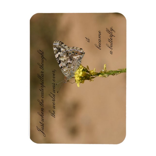 Gerade, als die Raupe dachte die - Magnet (Vertikal)