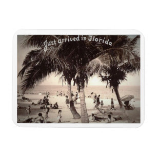Gerade angekommen in Florida! Vintag Magnet