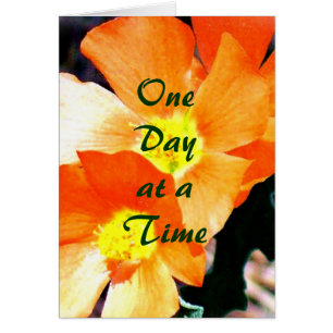 "Gerade ein Unkraut" ODAT