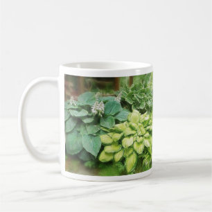 Gerade ein weiterer Hosta! Kaffeetasse