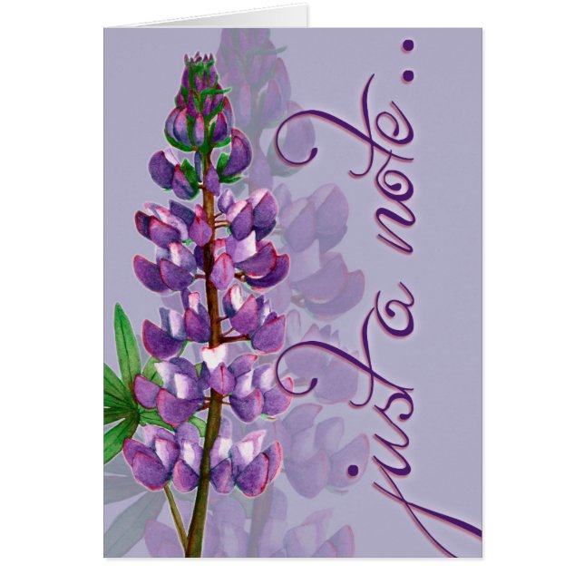 Gerade eine Anmerkung (Vorne)