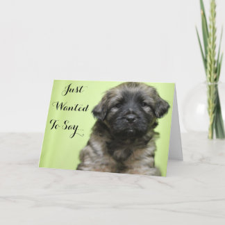 Gerade gewollt, um zu sagen danke Welpen-Karte