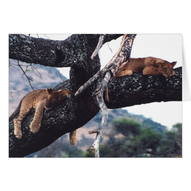 "Gerade heraus hängend " (Vorderseite (Horizontal))