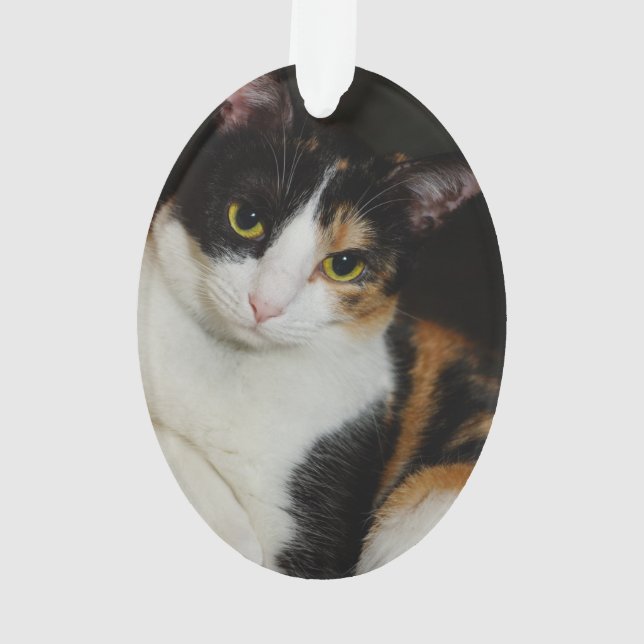 Gerade herum hängend ornament (Rückseite)