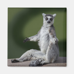 Gerade kalter Magnet