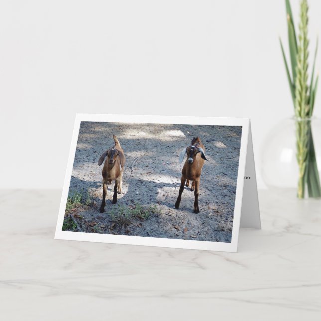 Gerade Sie und ich Kind! Karte (Vorderseite)