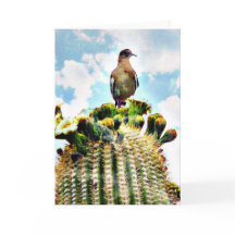 Gerade sitting auf einem Saguaro